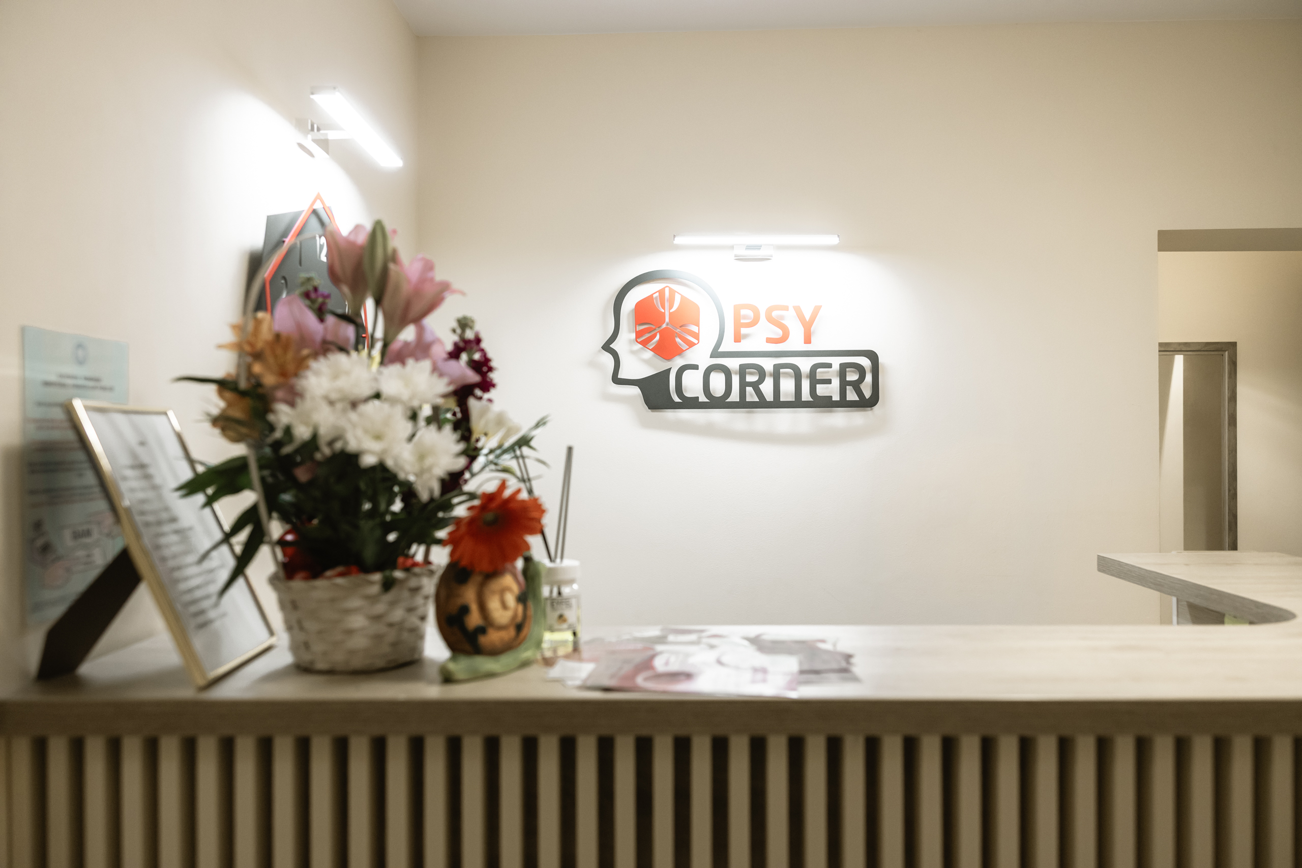 PsyCorner Cabinet 20